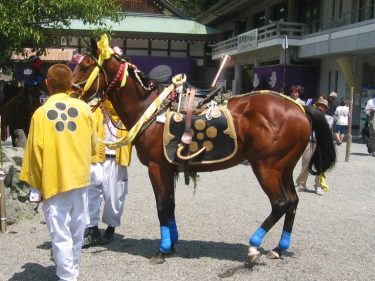 独語５　馬①　上げ馬神事（長文御免）