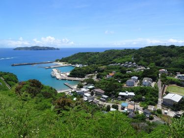 独語14　猫の爪切除と犬歯切断