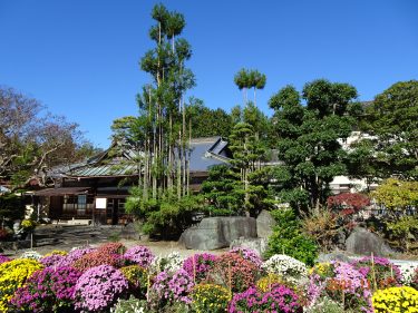 独語49　IAHAIO東京宣言2007
