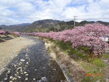 独語53　沖縄・米軍基地・日本政府